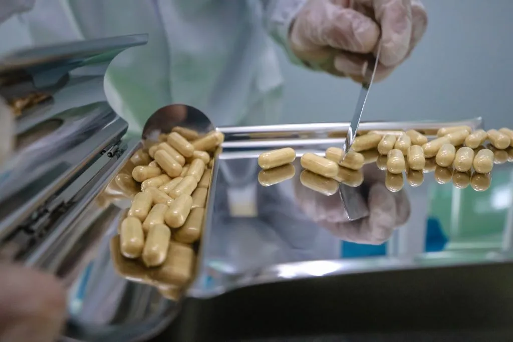 GMP Pharma quality technician inspecting capsules on a stainless steel tray